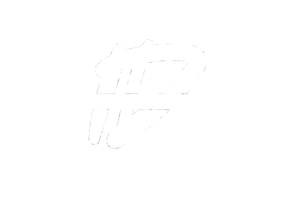 Illegal Dreamz